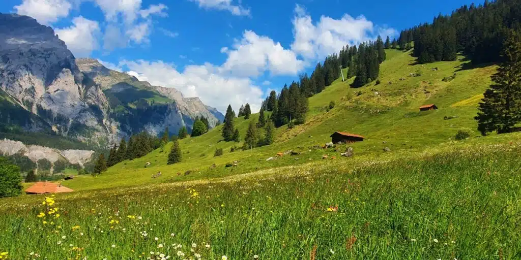 Switzerland summer