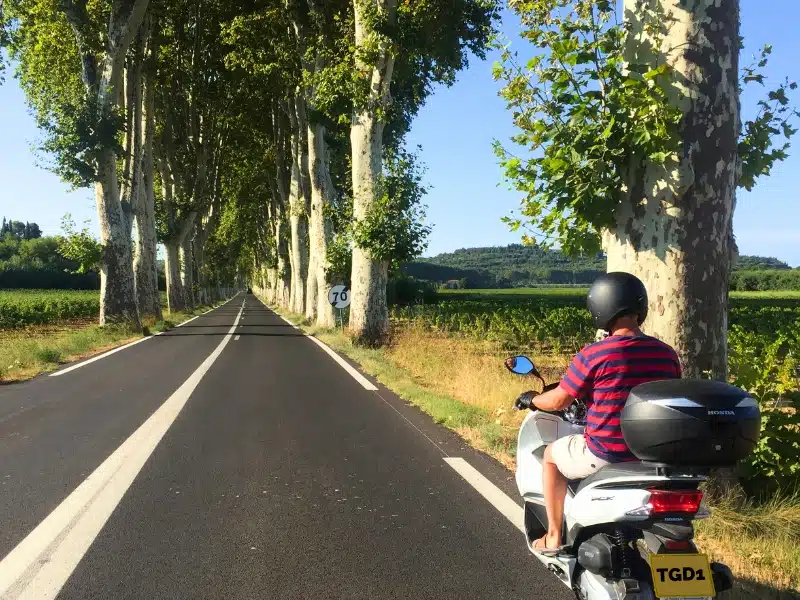 Man in a red and blue striped tishirt riding a white moped down a road lined with Sycamore trees in France