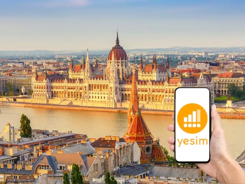 Yesim review