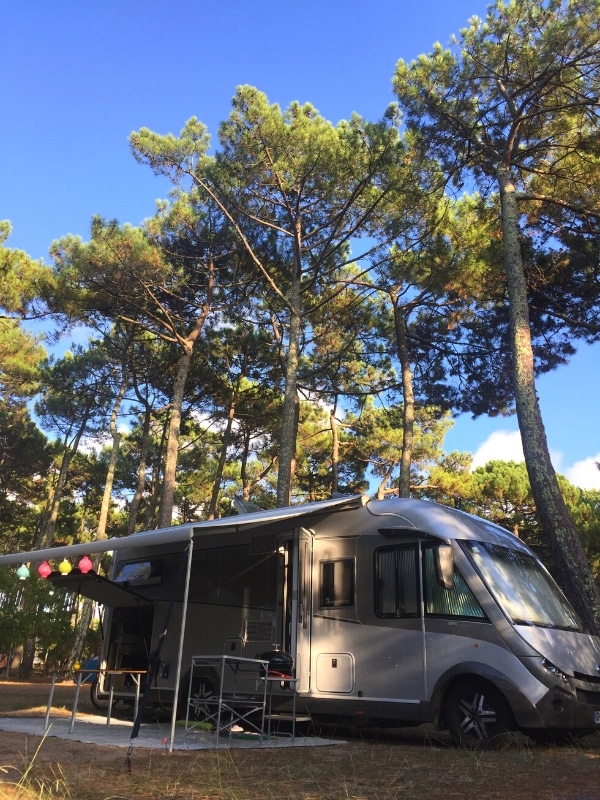 motorhome with its awning out parked on a grassy pitch under tall pine trees