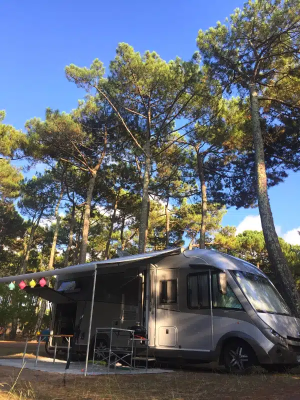 motorhome with its awning out parked on a grassy pitch under tall pine trees