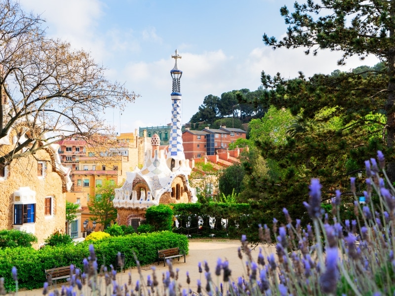 fantastical buildings, lavender and trees