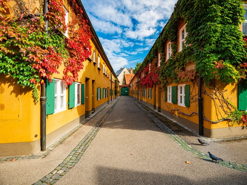 narrow street between yellow painted terraced housing with white windows and green shutters, covered in ivy