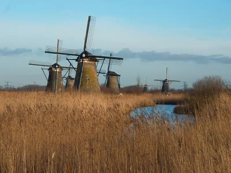 six windmills amongst fields of grasses in fall