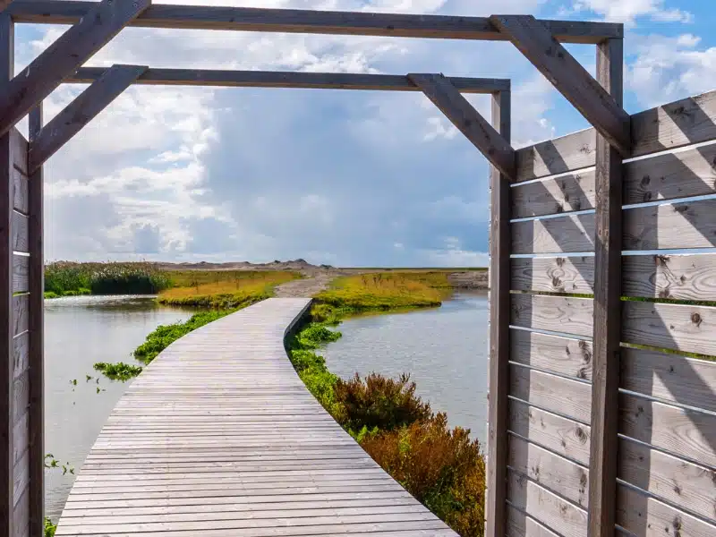 wooden boardwalk over water leading to a sandy path and grassy dunes in the distance