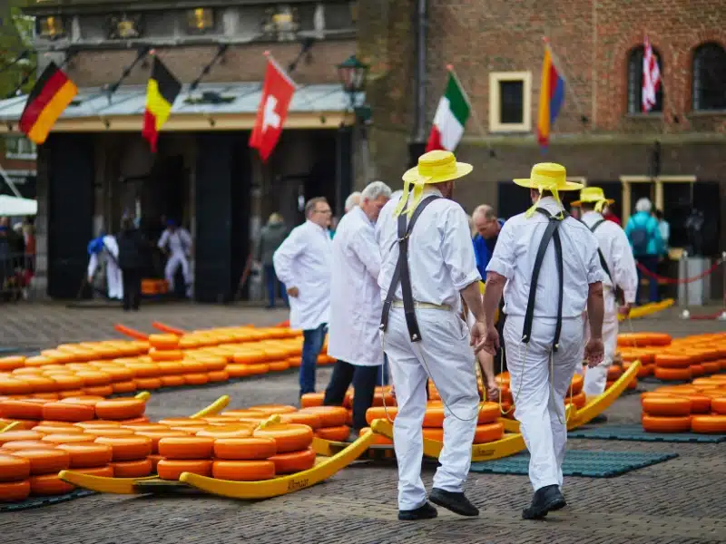 cheese haulers surrounded by orange  wheels of cheese at a traditional cheese market in the Netherlands