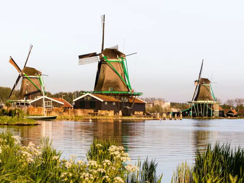three brown windmills with green woodword sitting in a body of water surrouned by grasses