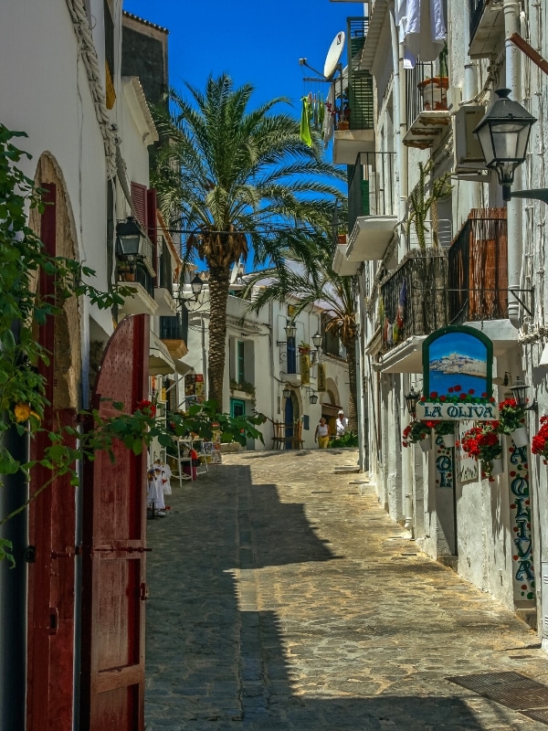 cobbled street lined with white buildings, colorful signs and palm trees