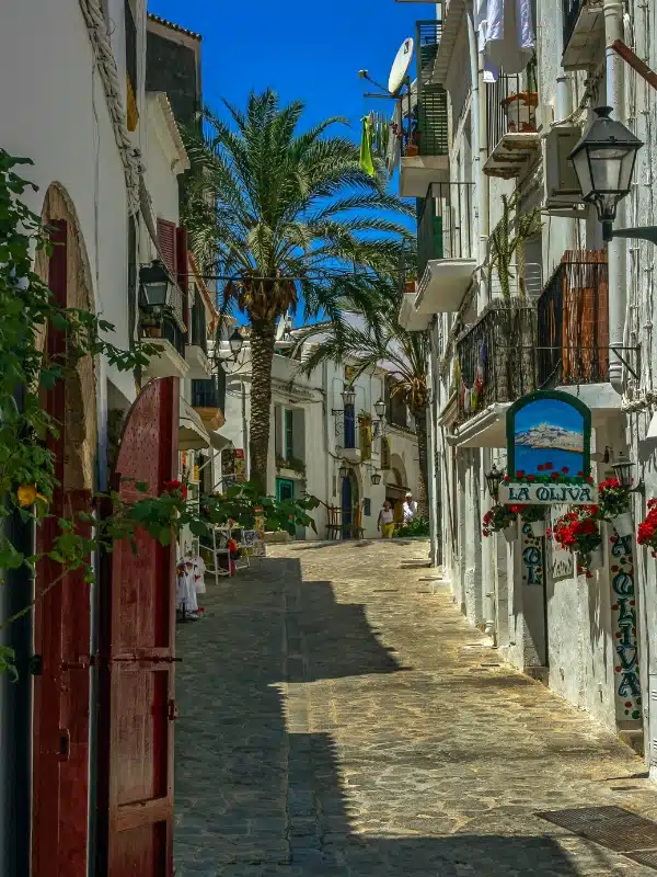 cobbled street lined with white buildings, colorful signs and palm trees