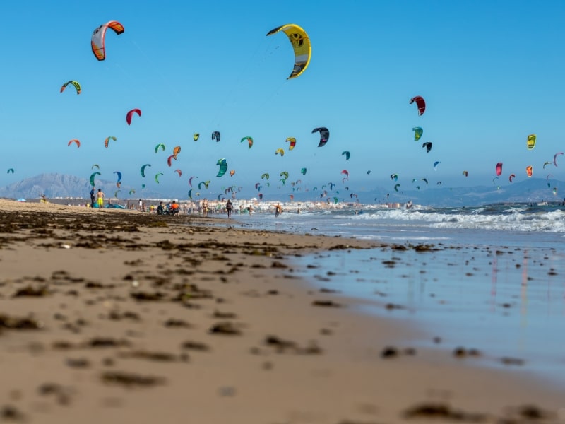 Tarifa