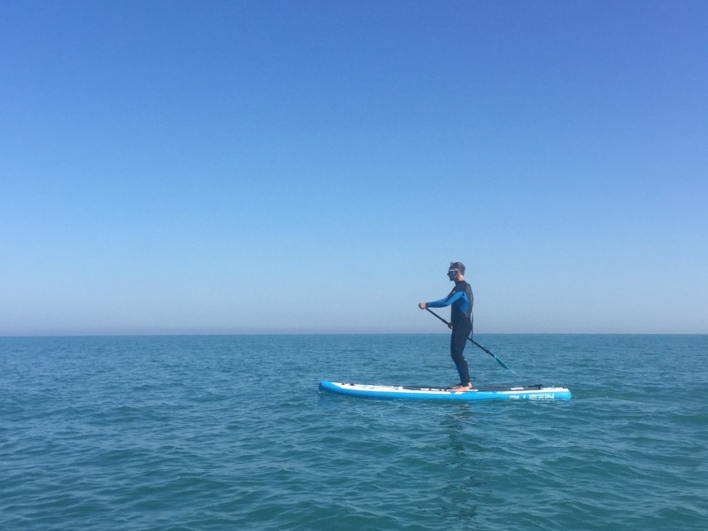 man in a wersuit on a paddleboard in the sea