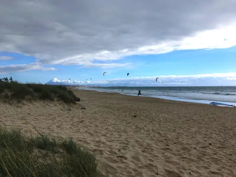 kite surfers along a sandy bean with small grassy dunes on a cloudy day