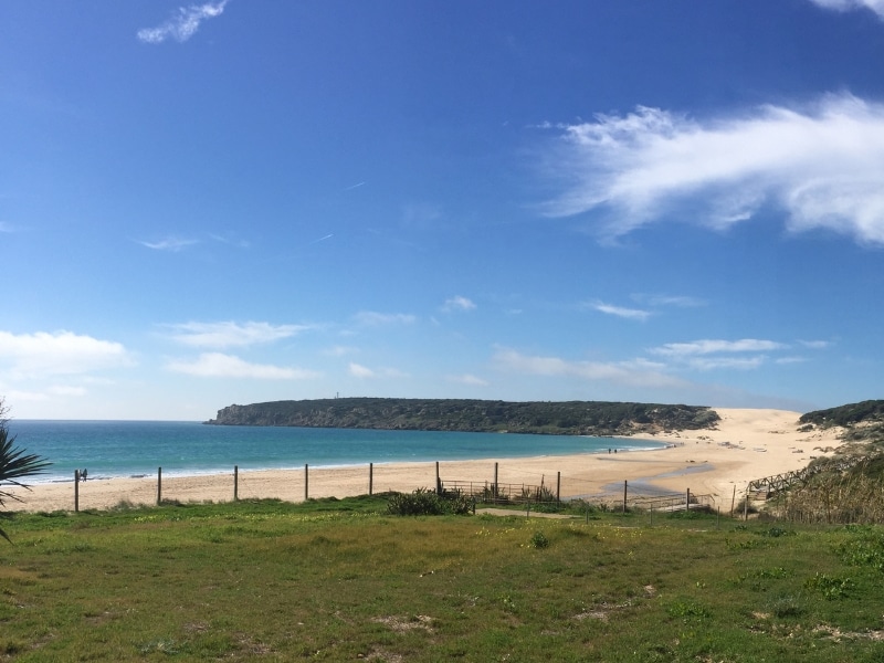large beach with dunes seen across a grassy field