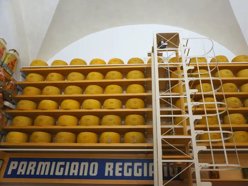 whole Parmesan cheese wheels arranged on shelving with a white metal ladder to access