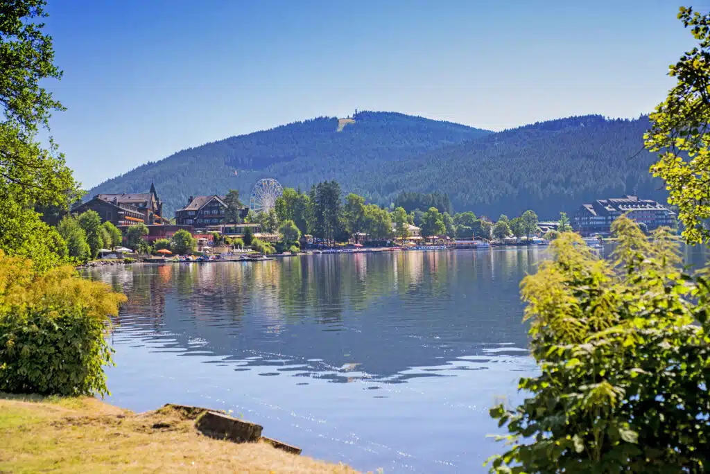 lake with hills and forests in the background and a lakeside town with a Ferris wheel