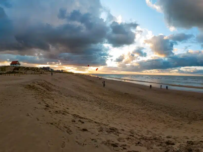 long beach with people flying kites