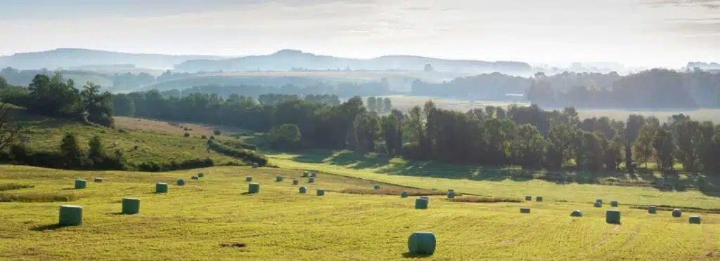 rolling countryisde with fields of hay bales and trees