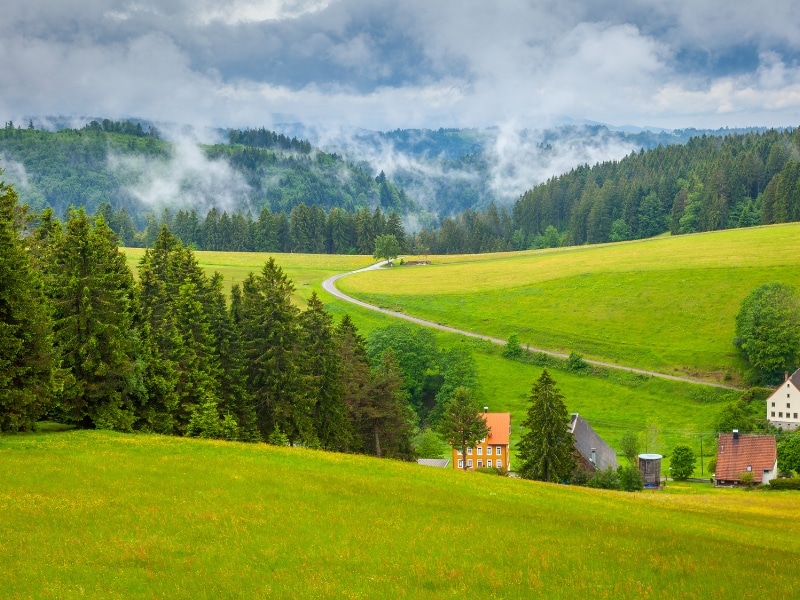 grean meadows surrounded by conifer trees with a few orange and white houses in the valley