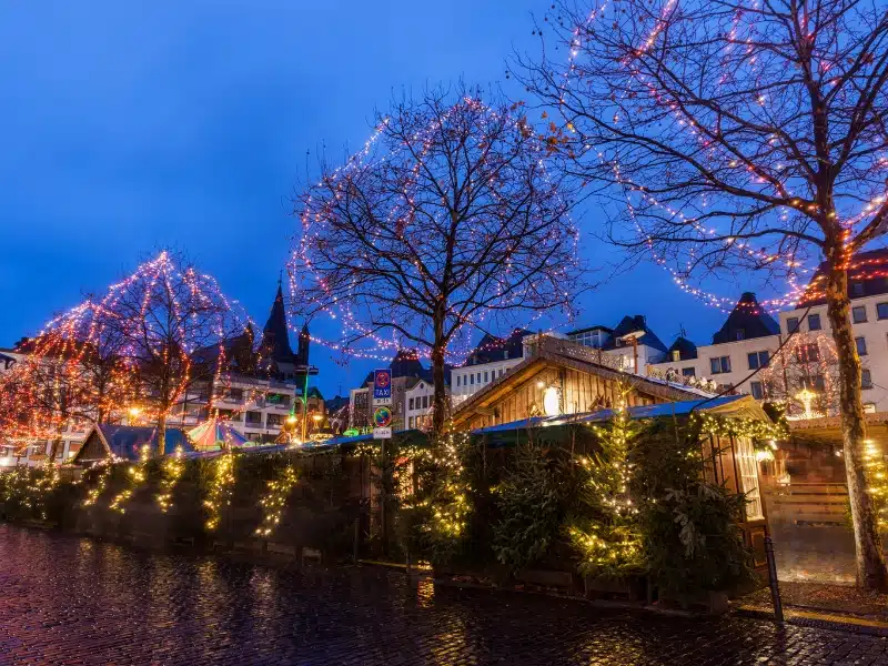 fairy lights strung in trees and around buildings at night