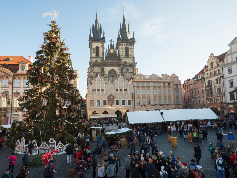 Large Christmas trees and market stalls in a square lined with historic buildings