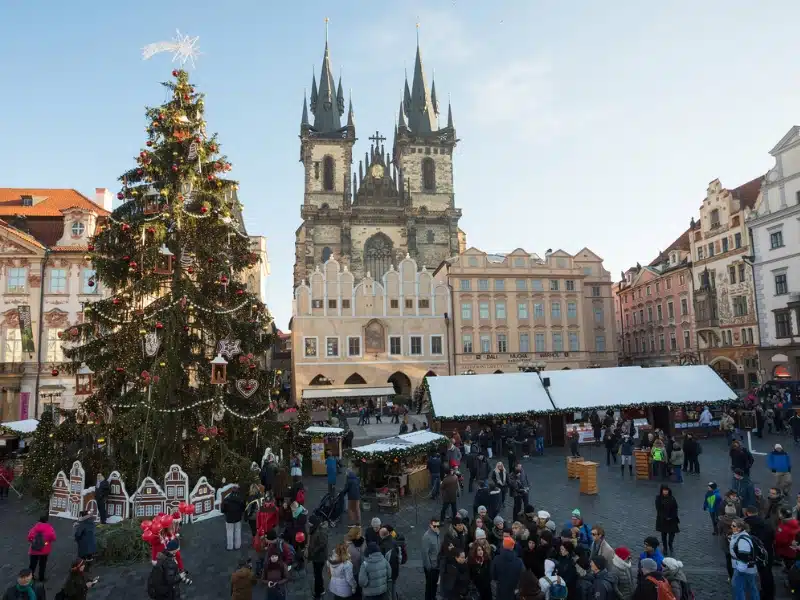 large Christmas trees and market stalls in a square lined with historic buildings