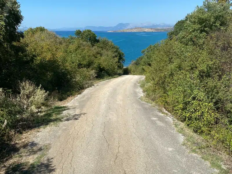 road leading to the sea with green hedges