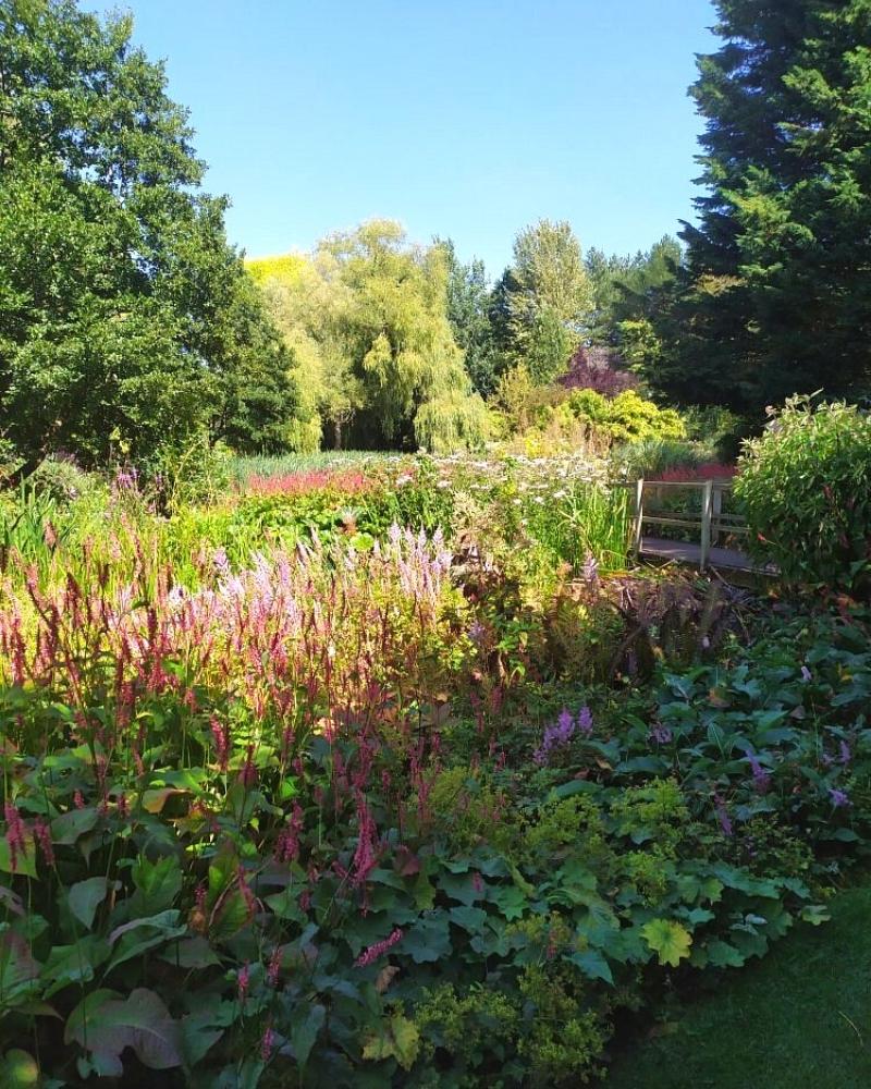 gardens full of planting and trees with a small bridge