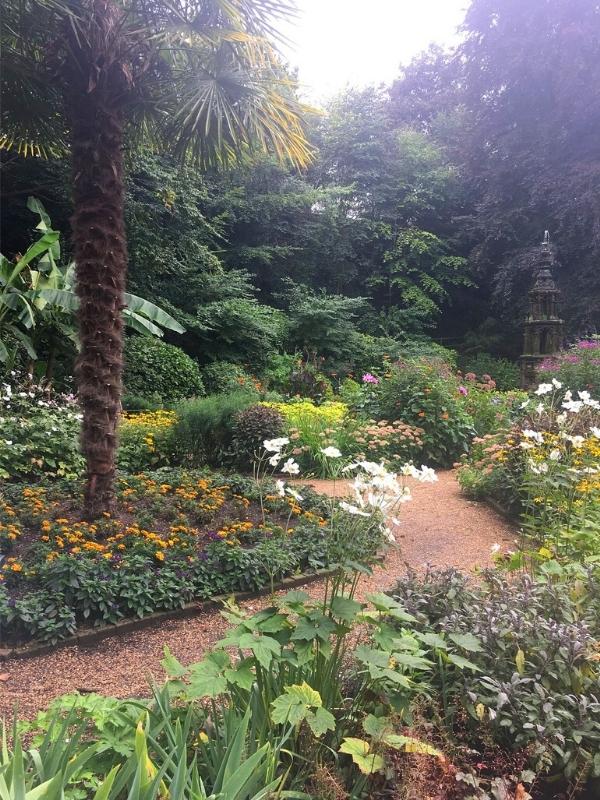 lush planting and a palm tree along a gravel path