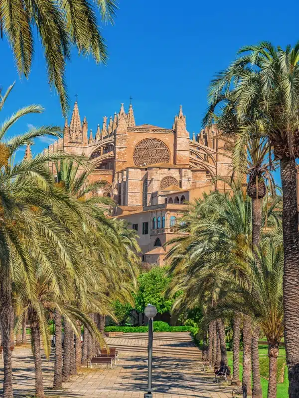 palm trees lining a path to a stone cathedral against a blue sky