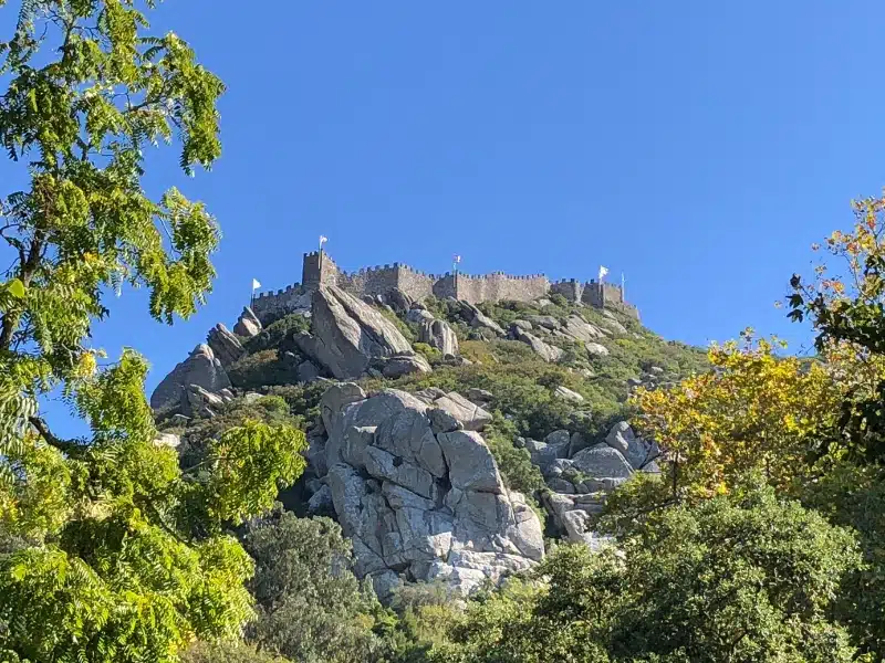 large castle with crenellated walls flying flags atop a craggy outcrop surrounded by trees