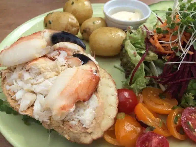 Dressed Cromer Crab on a plate with new potatoes and salad
