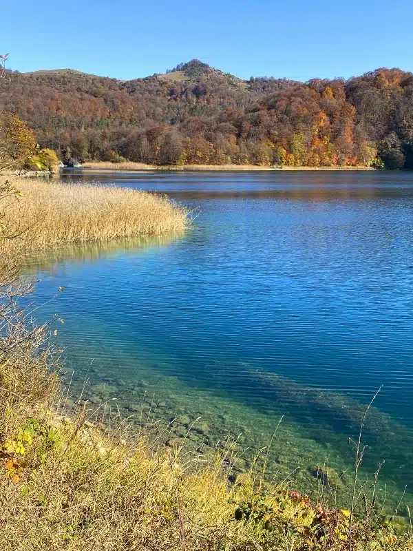 clear lake waters surrouned by trees and grasses