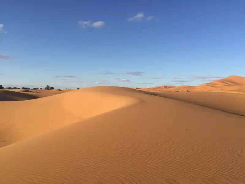 sand dunes of Erg Chebbi