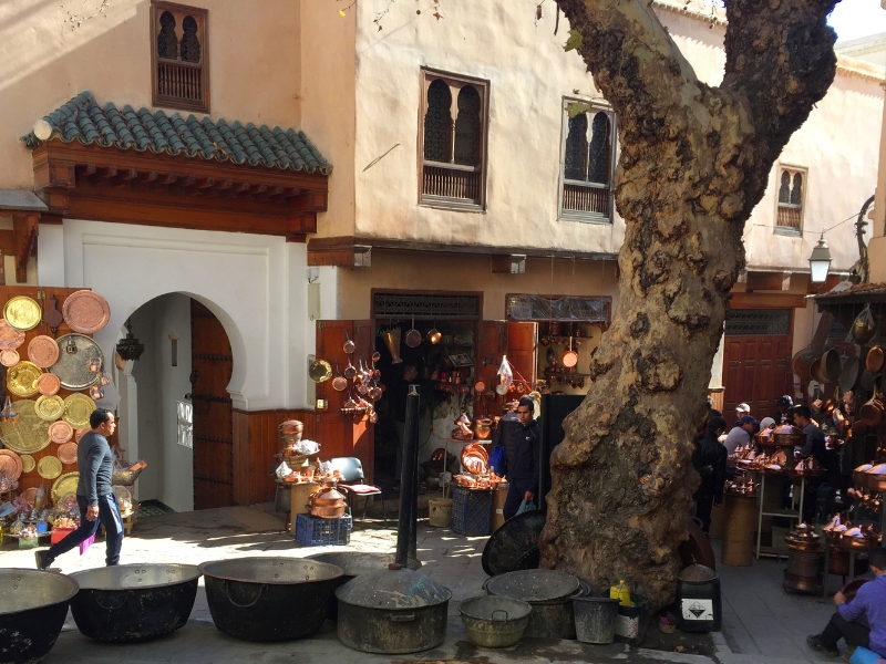 tree trunk in an urban setting with shops and buildings around it