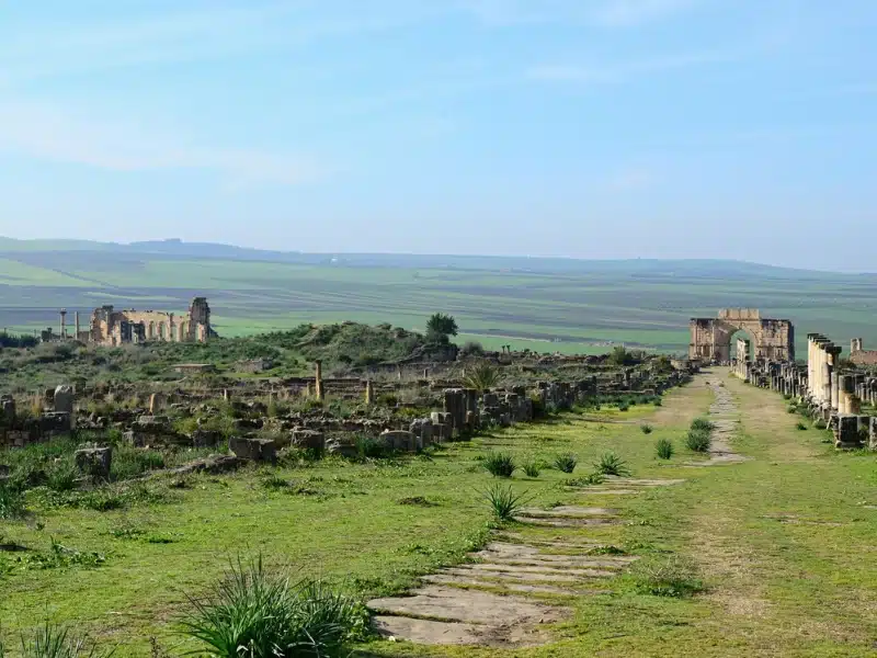 Roman ruins amongst a green and lush landscape