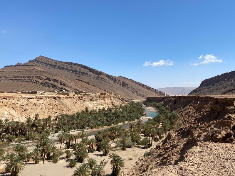 river valley with date palm trees in the gorge surrounded by an arid landscape