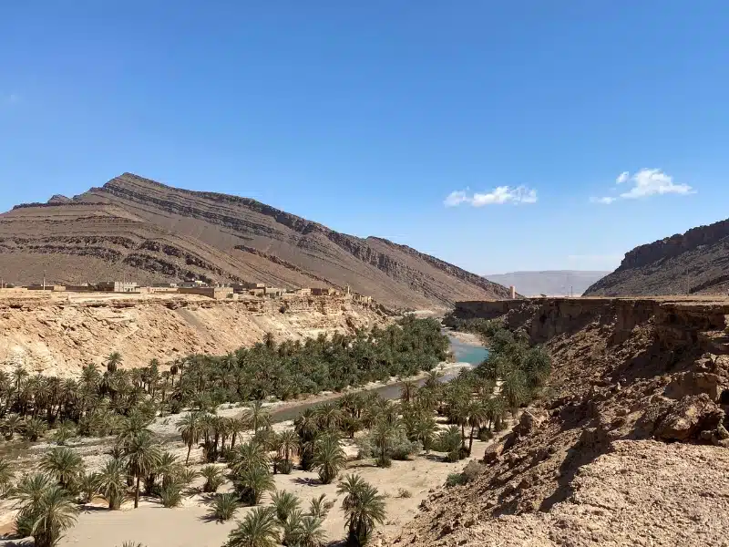 river valley with date palm trees in the gorge surrounded by an arid landscape