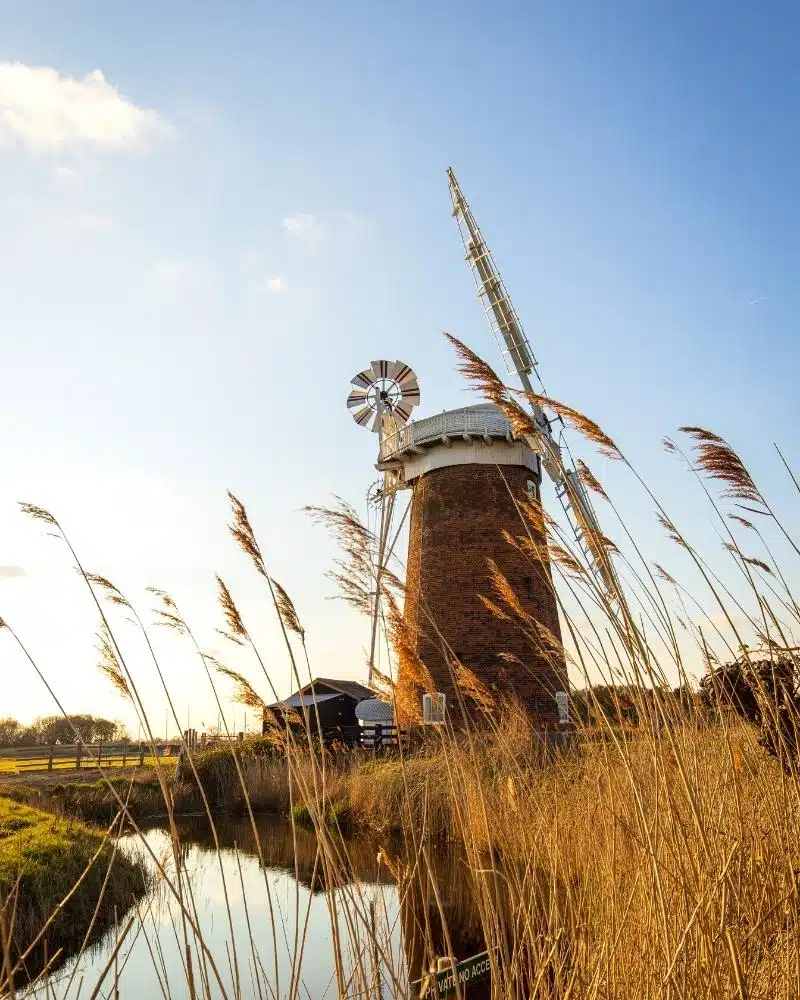 red brick windmill with white cap and sails see through tall grasses by a small river