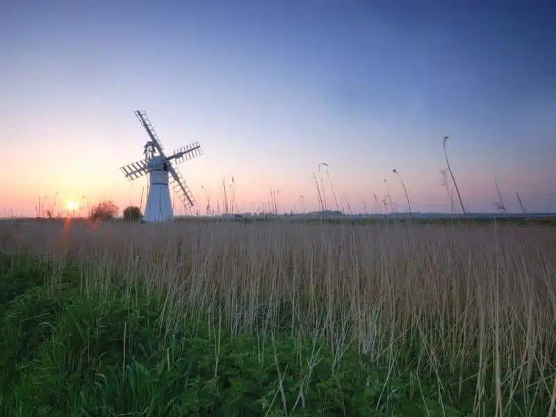 white mill and white sails seen through grasses at sawn