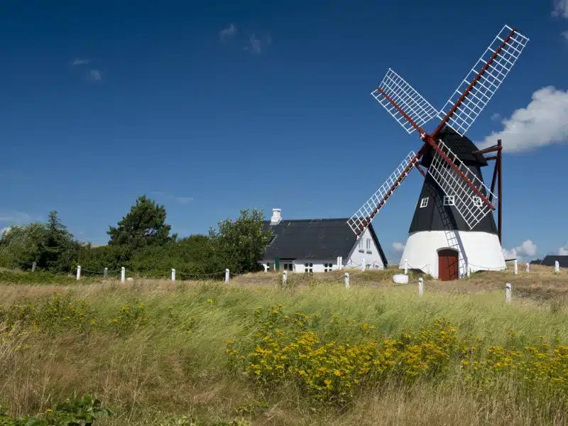white and black windmill with white sails next to a small white house surrounded by grass and wildflowers