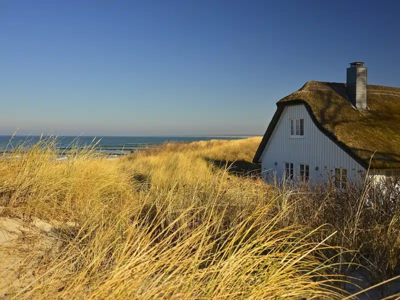 small thatched cottage in a field of dunes and grasses with the sea in the distance