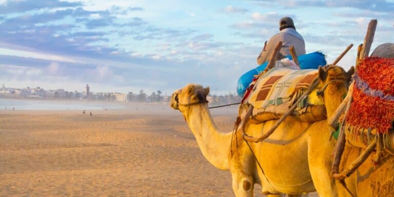 things to do in Essaouira