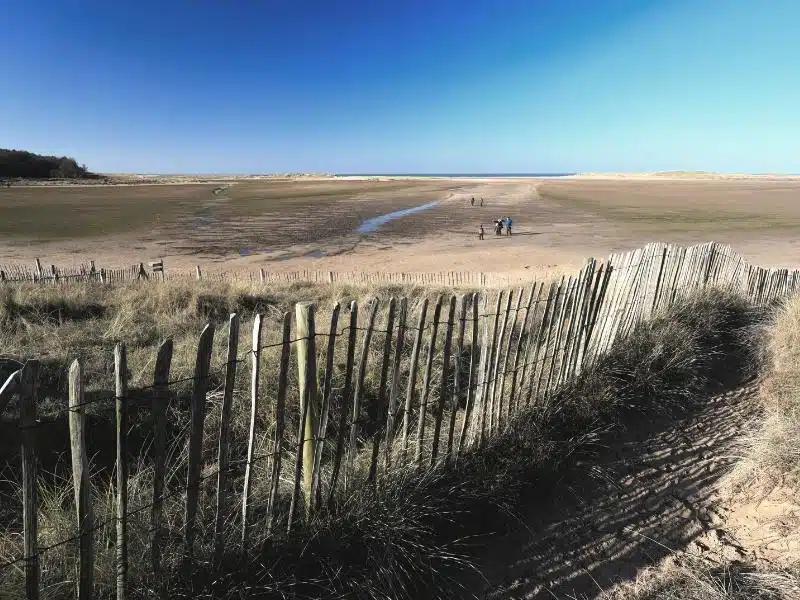 Holkham Beach views as you arrive from the boardwalk, with mud flats in front and dunes in the far distance