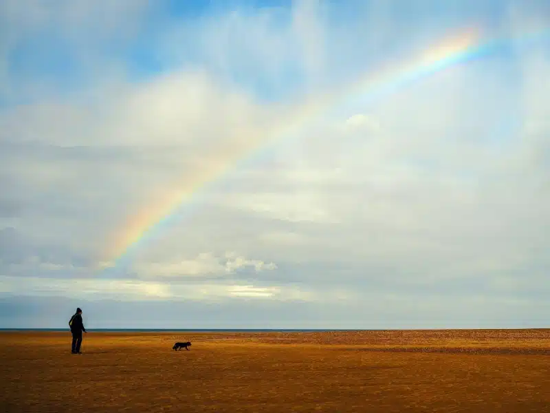 on walking a dog on a sandy beach under a rainbow