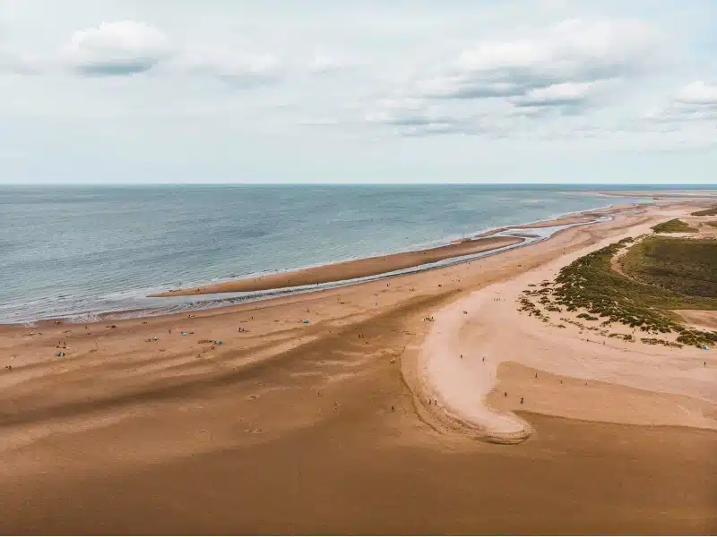 vast area of sand and sea with grassy dunes