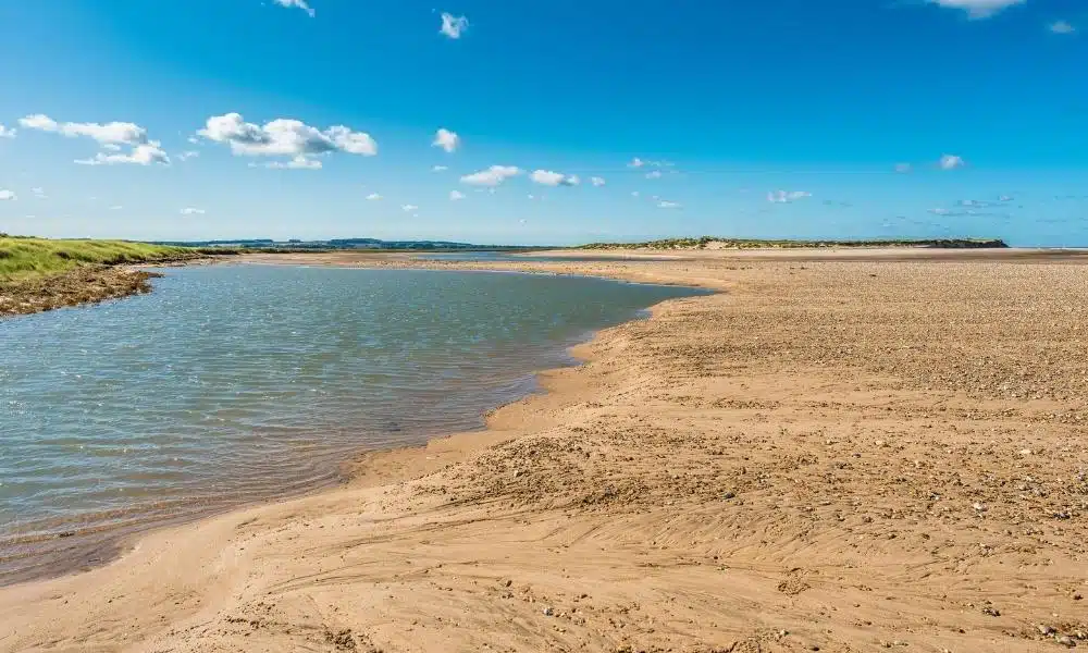 sea water with a beach on one side and greenery on the other