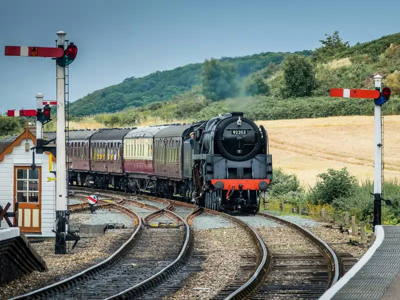 a black steam engine coming into a small station surrounded by fields of wheat