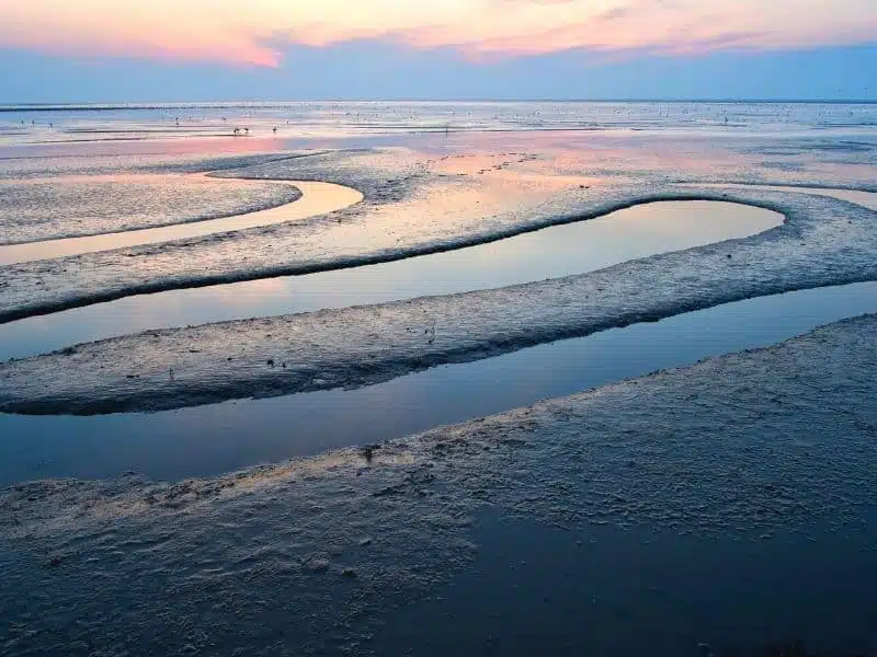 sand and mud flats at sunset