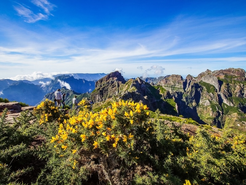 things to do in Madeira