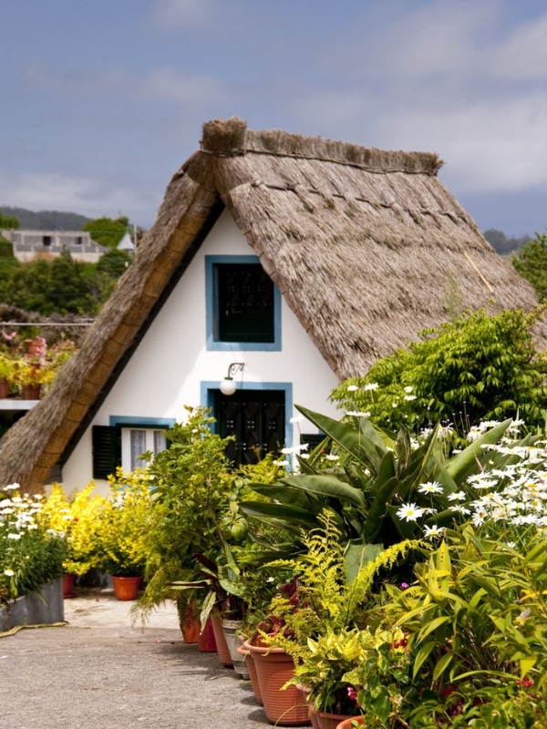 thatched a frame house surrounded by tropical plants